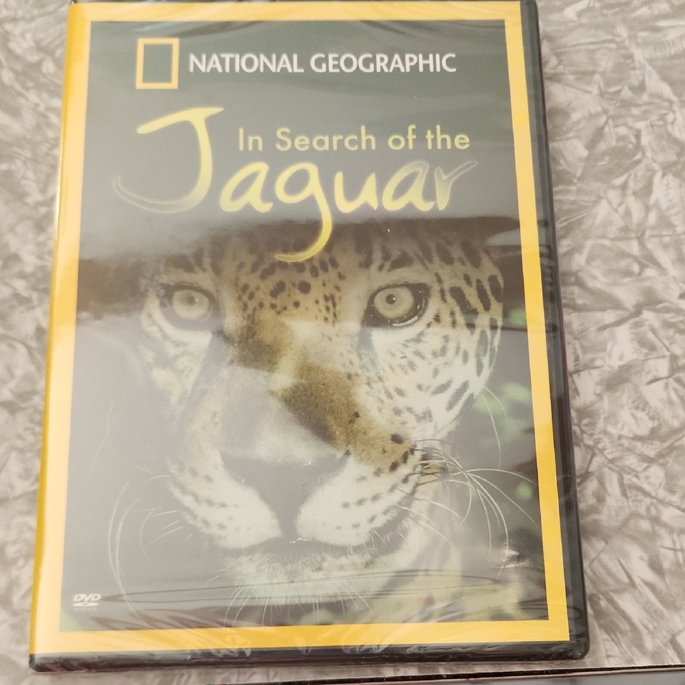 National Geographic In Search of the Jaguar DVD - Yellow and Black